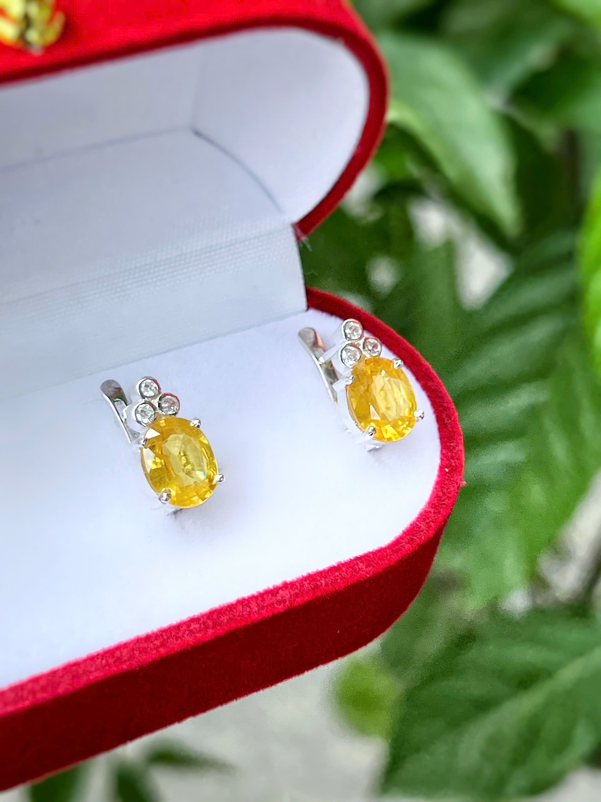 gen-h-z7719889698793_66f8fdde6c1190f25bdbf19bdc4a7839