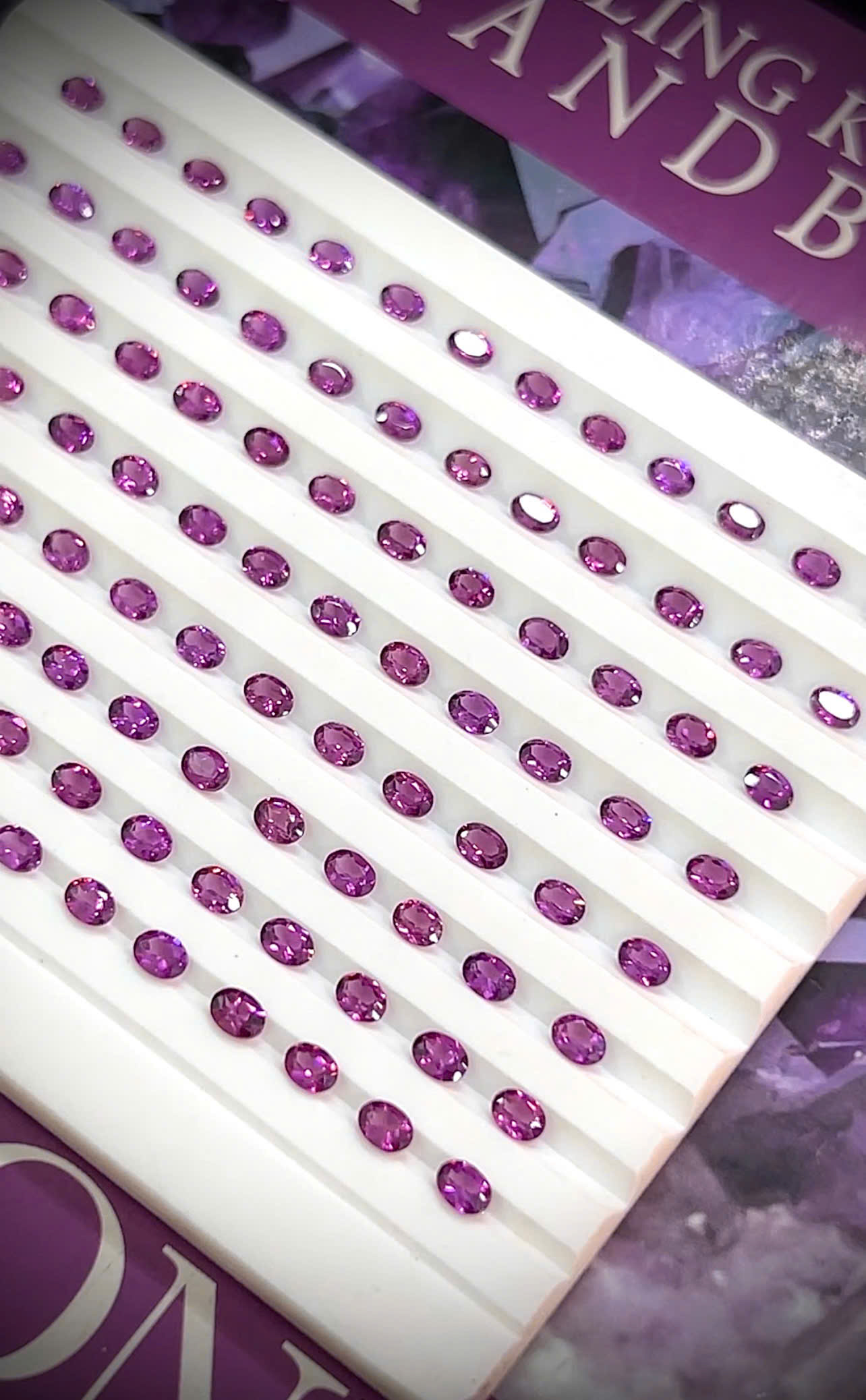 1782966223184_1555156499023909170_g1403878267414821340_h