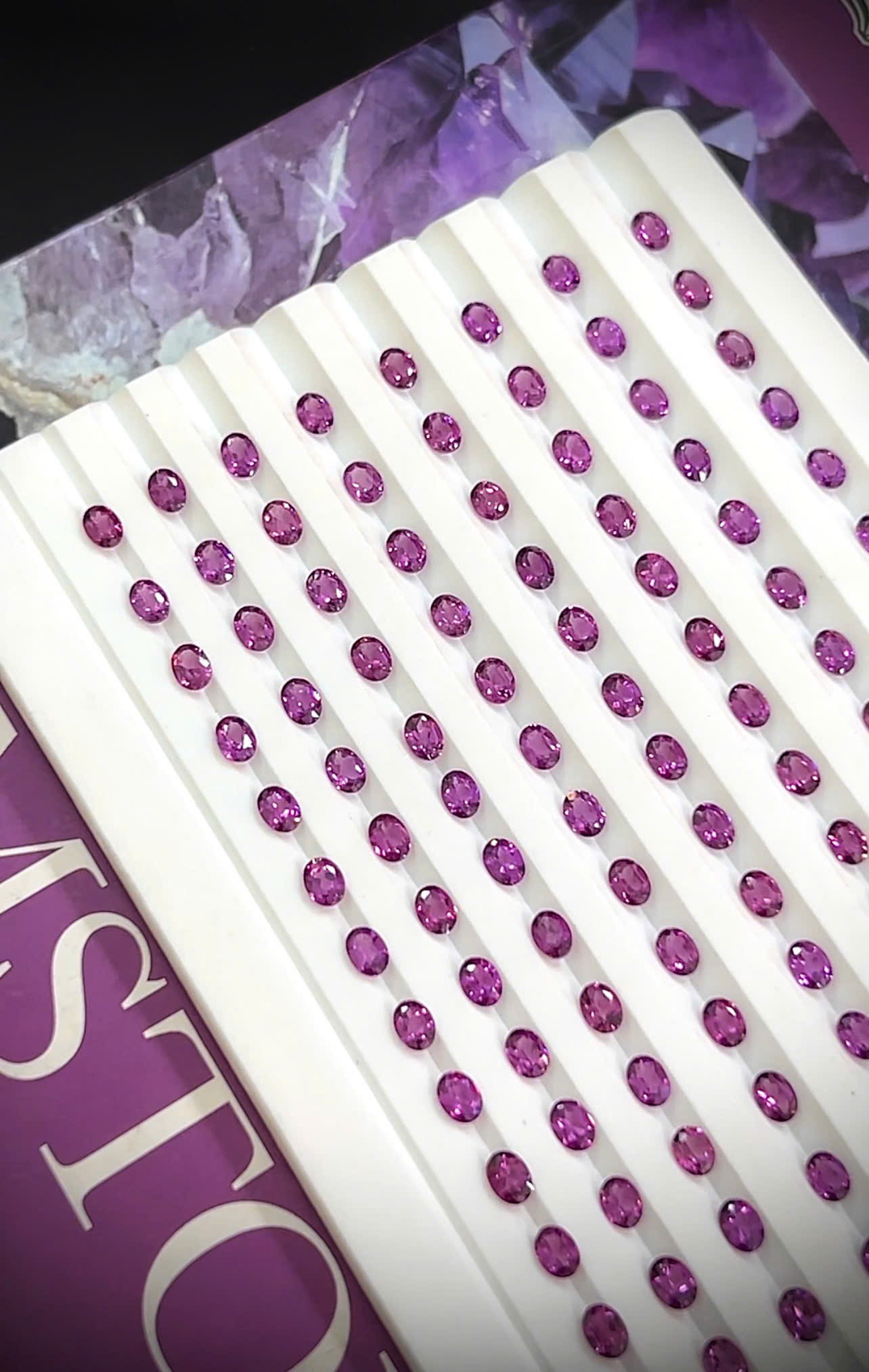 1782966223215_1555156499023909170_g1403878267414821340_h