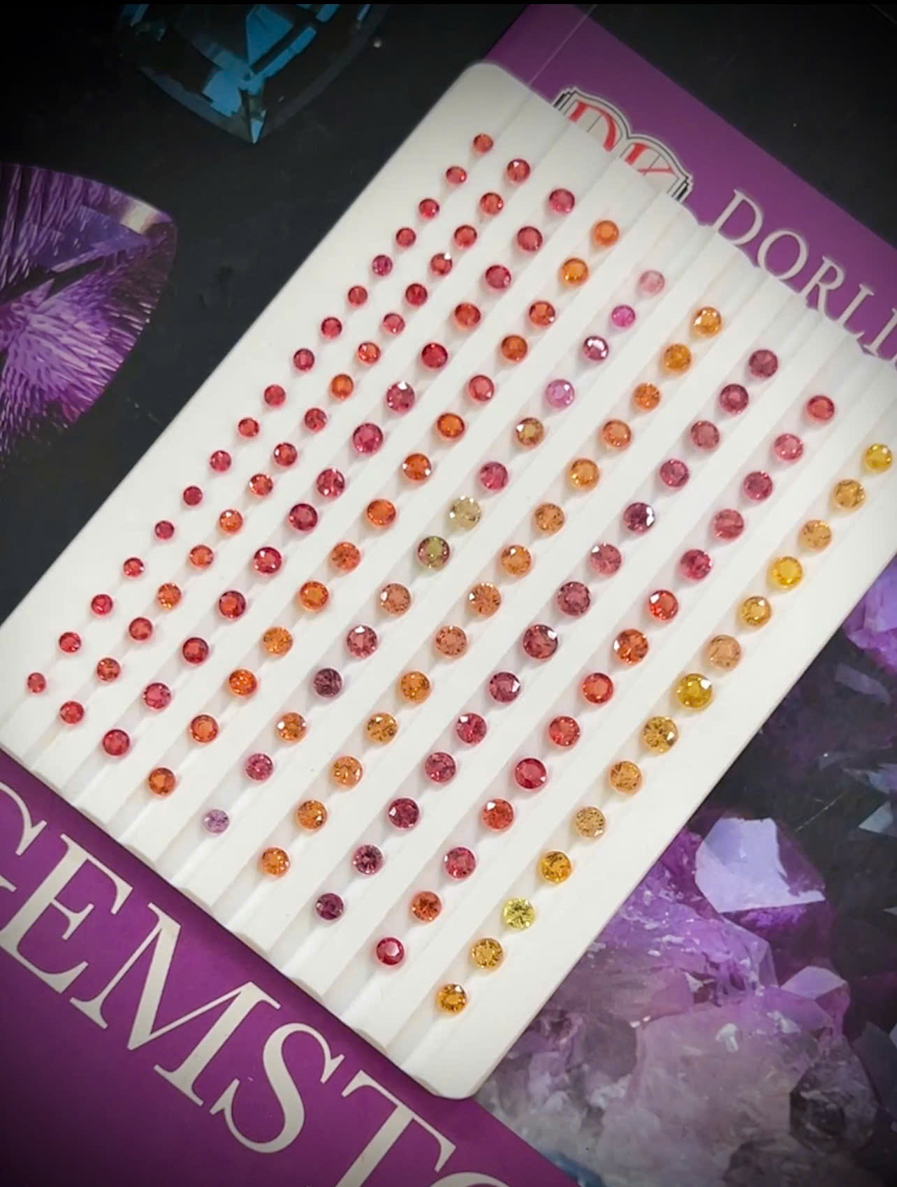 1790135052037_1555156499023909170_g1403878267414821340_h