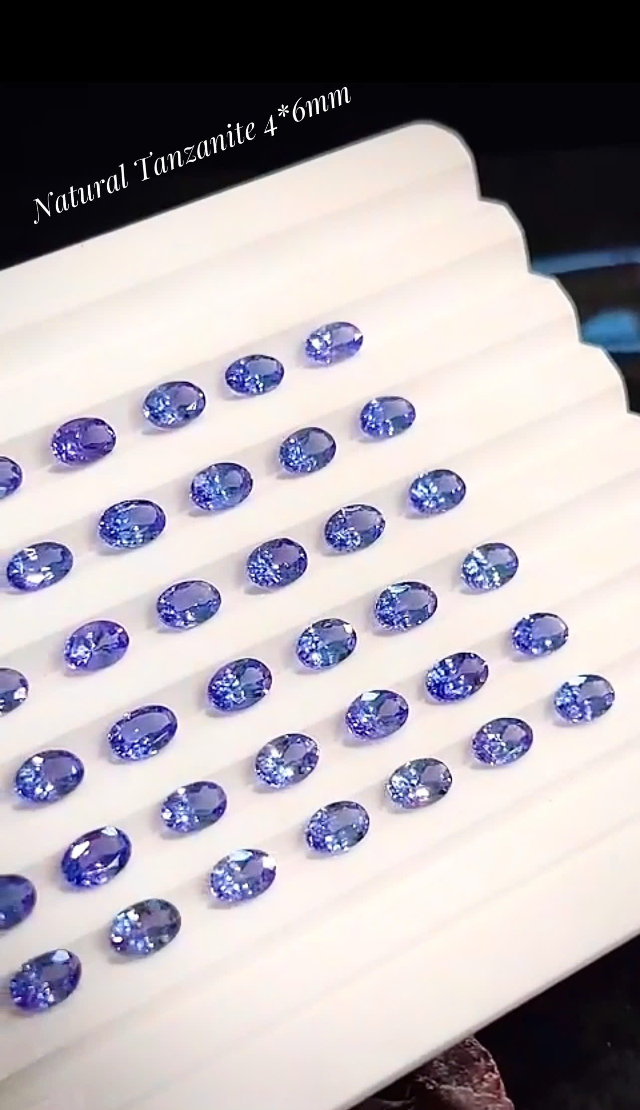 1789701594832_1555156499023909170_g1403878267414821340_h