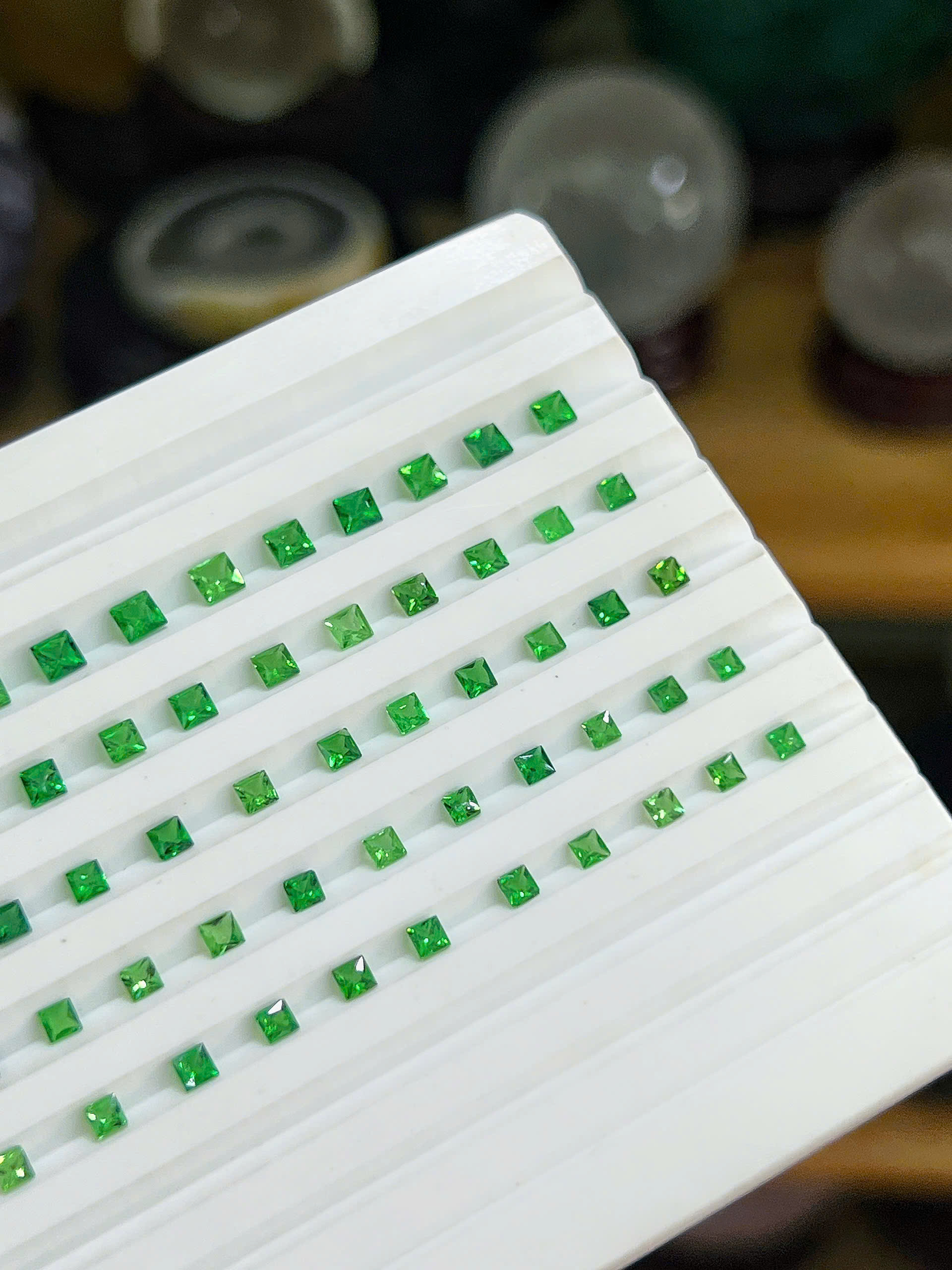 1790652540536_1555156499023909170_g1403878267414821340_h