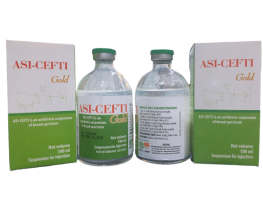 ASI - CEFTI 100ML