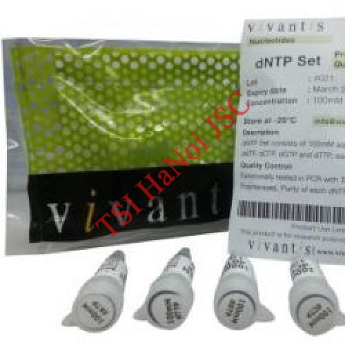 Bộ dNTP mix Vivantis