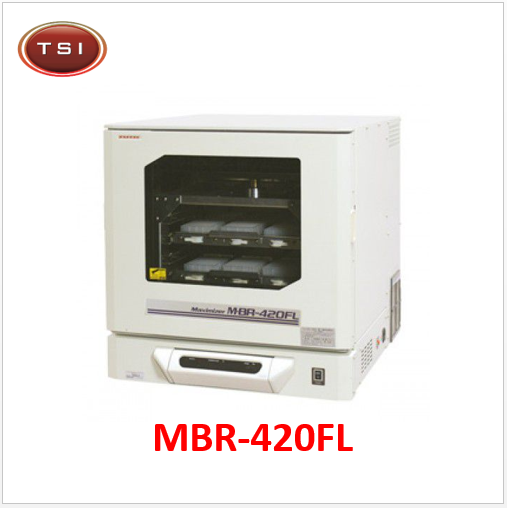 Máy lắc ổn nhiệt MBR-420FL Taitec