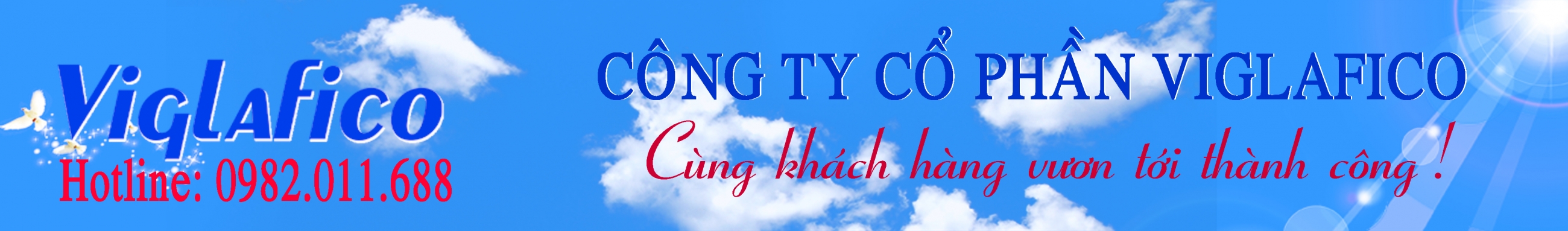 CÔNG TY CỔ PHẦN VIGLAFICO