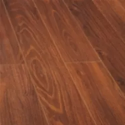 JAMI1