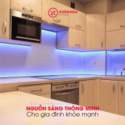 Chọn nguồn sáng thông minh cho gia đình khỏe mạnh