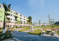 Xuân Hòa cung cấp Giường tầng  cho ký túc xá Canon