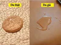 Phân biệt chất liệu da thật và giả da khi mua sofa