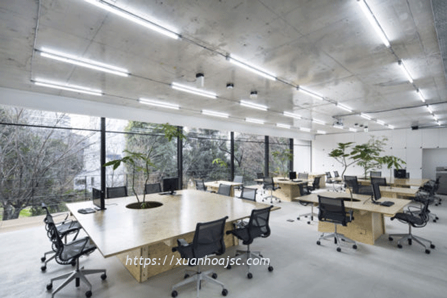 Phong cách thiết kế văn phòng tối giản một xu hướng trong tương lai