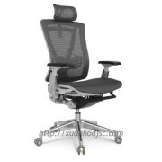 Ghế xoay giám đốc GGD-16-00
