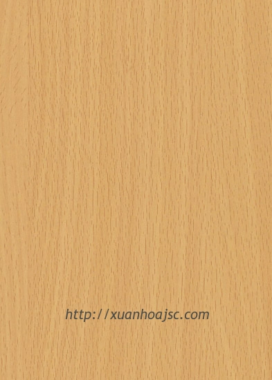 Mẫu vật liệu  sơn PU