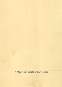 Mẫu vật liệu sơn PU