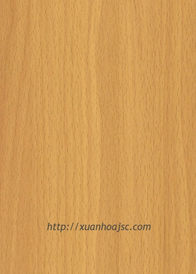 Mẫu vật liệu sơn PU