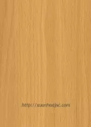 Mẫu vật liệu sơn PU