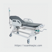 Xe cáng sơn tĩnh điện XDI-04-02