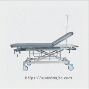 Xe cáng kiểu Nhật XDI-01-06