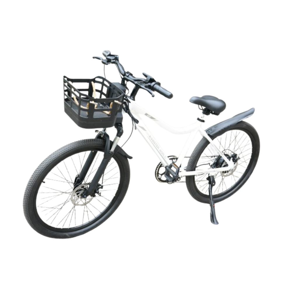 Xe đạp  trợ lực điện