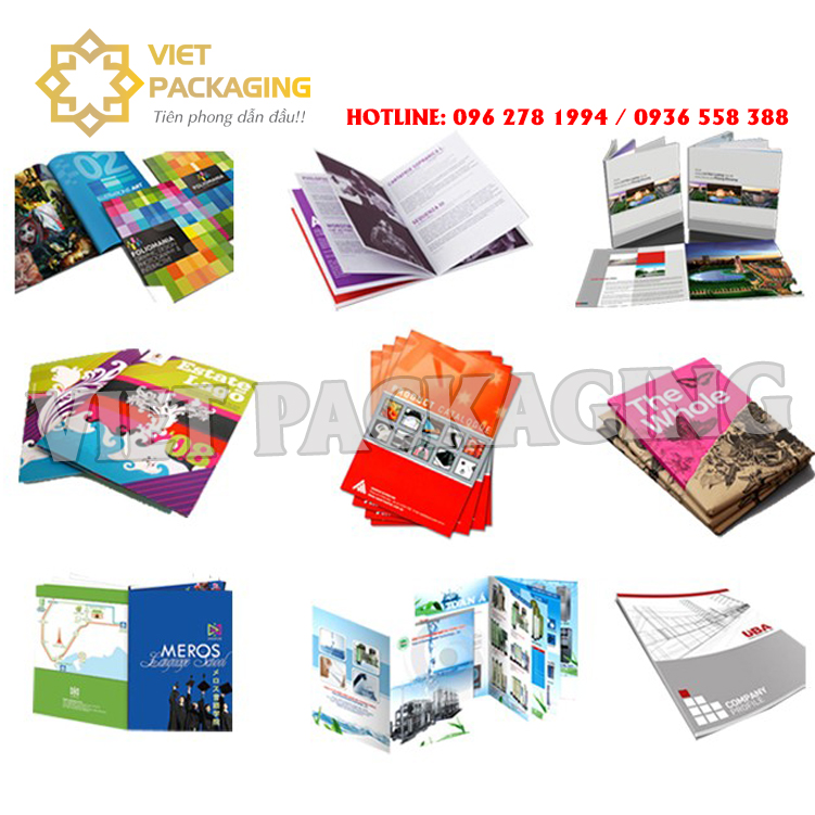 catalogue7 