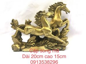 Cặp song mã