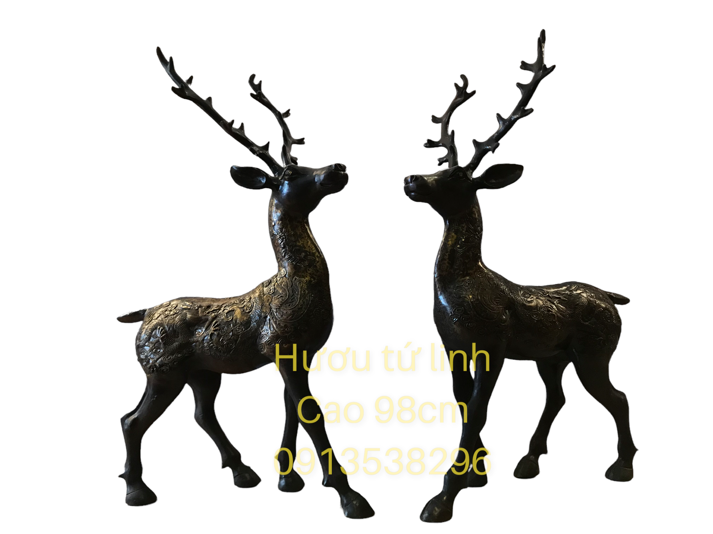 PhotoRoom_20220503_111708