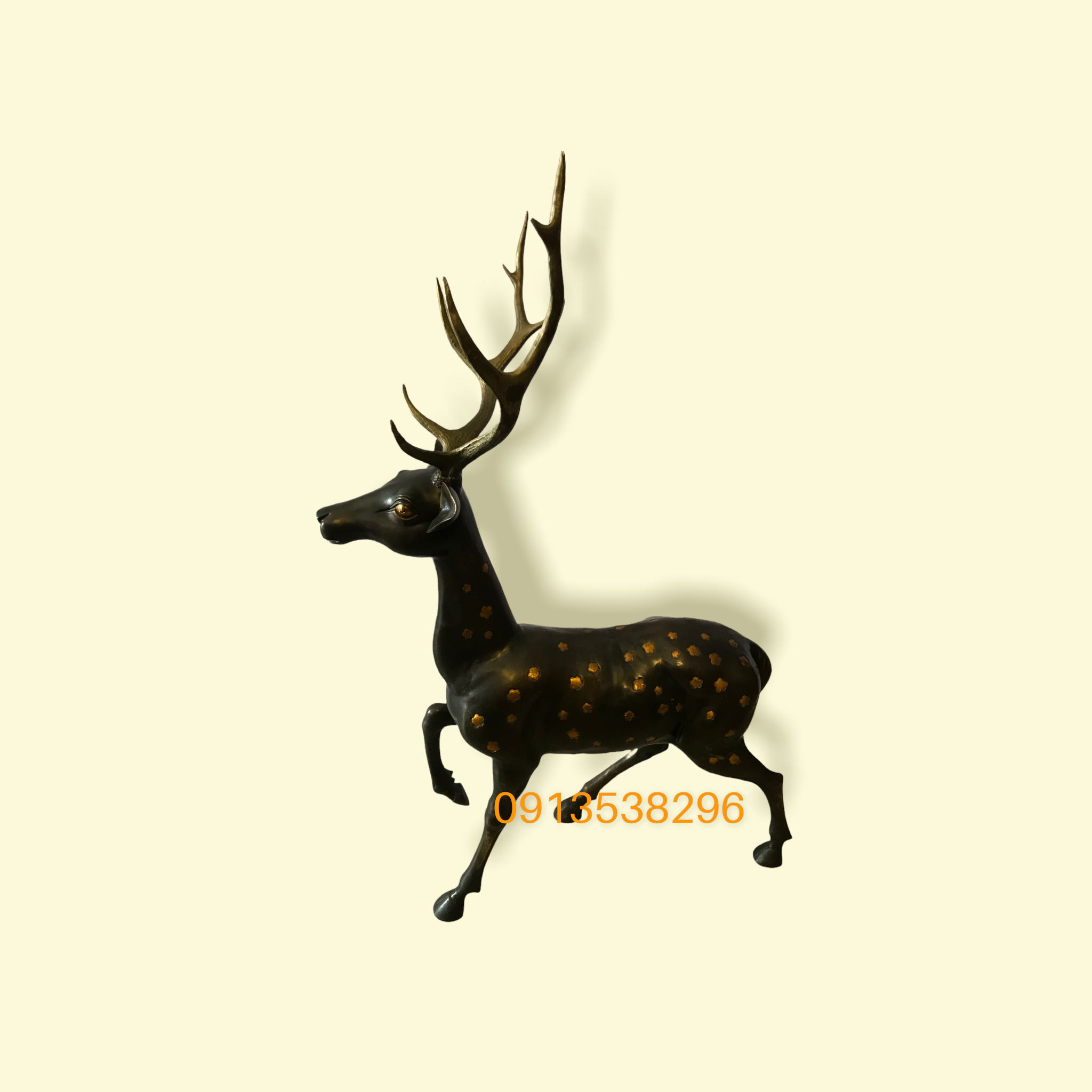 PhotoRoom_20220503_114411