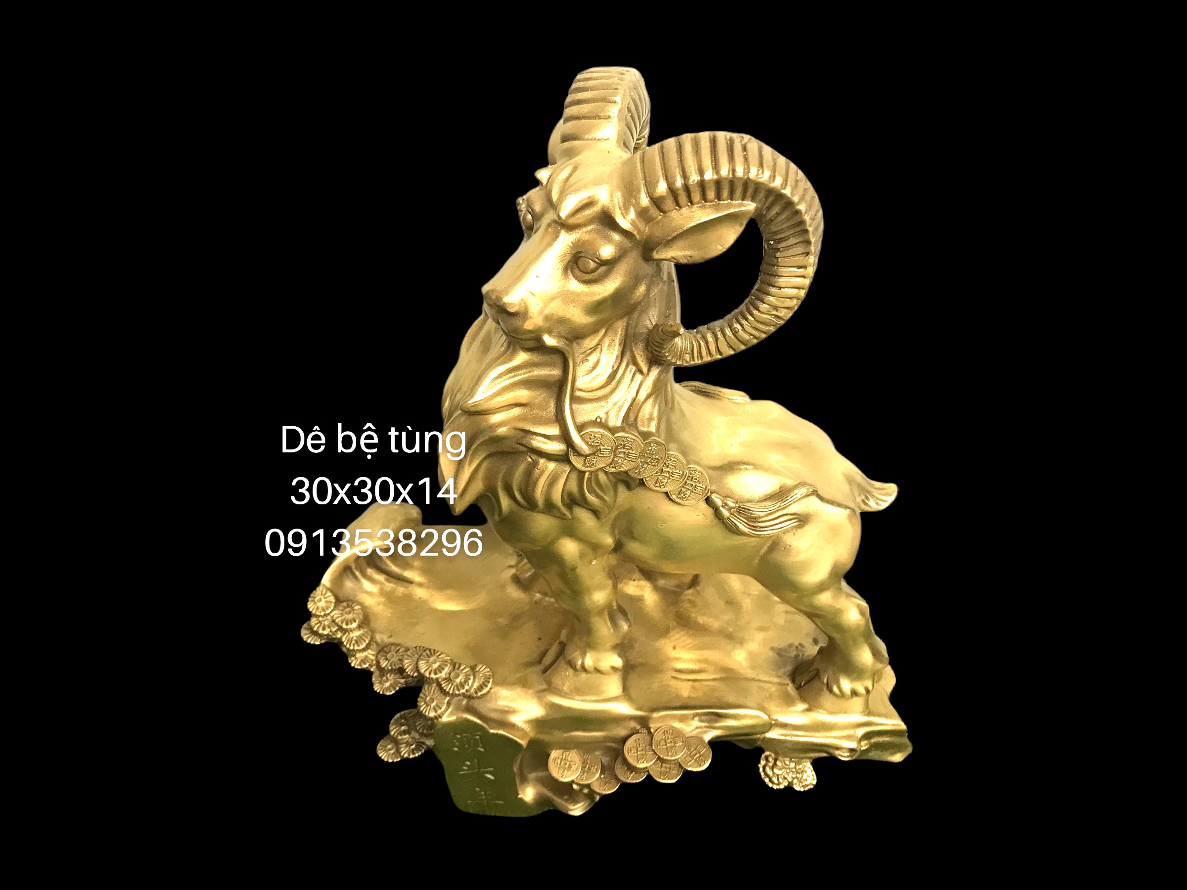 PhotoRoom-20220609-091553