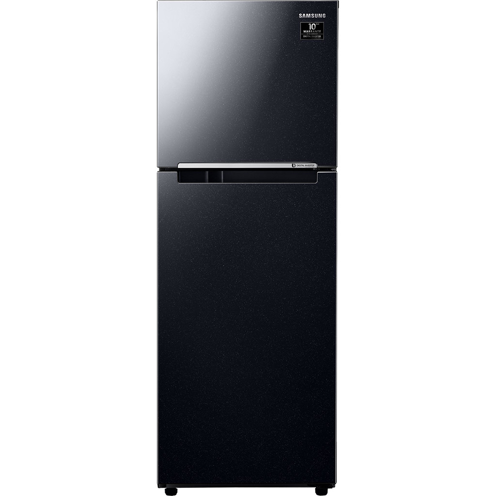Tủ lạnh Samsung Inverter 256 lít RT25M4032BU/SV