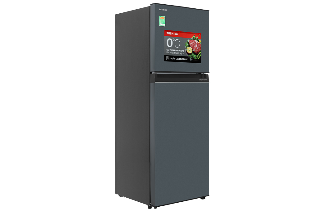 tu-lanh-toshiba-inverter-233-lit-gr-rt303we-pmv-52-2-2