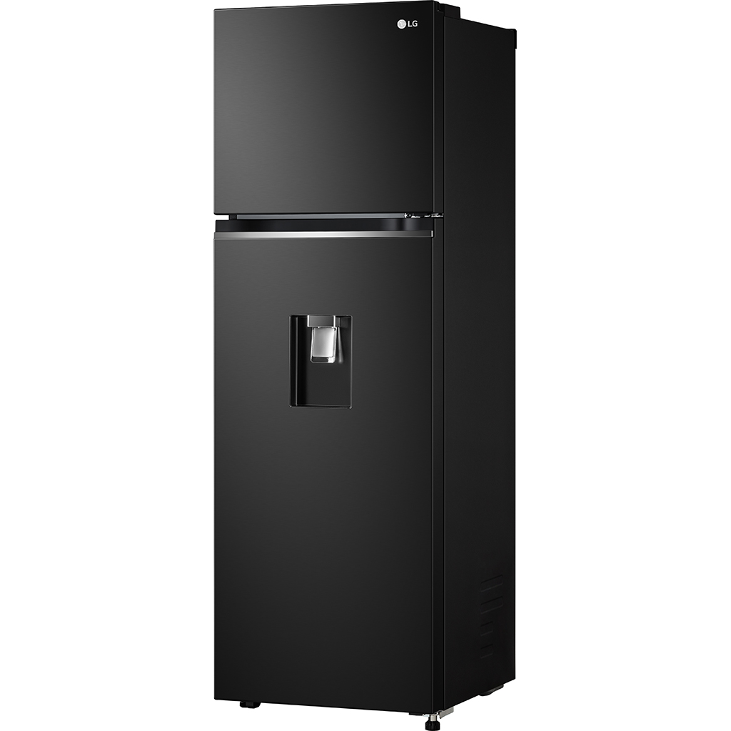 10053004-tu-lanh-lg-inverter-gv-d262bl-3