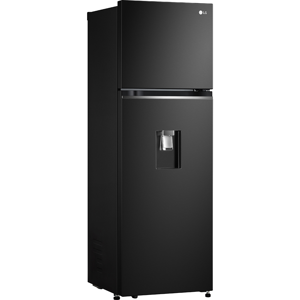 10053004-tu-lanh-lg-inverter-gv-d262bl-2