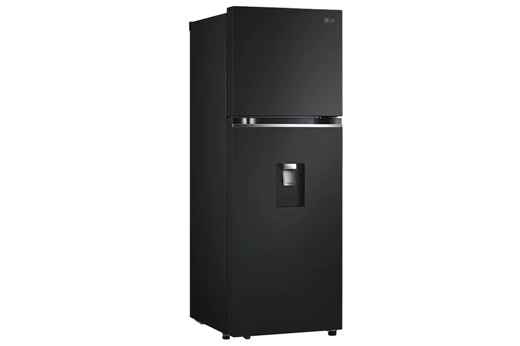 tu-lanh-lg-inverter-314-lit-ltd31blm_bda9fa5b