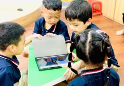 Tập huấn dạy học kết nối cho các cơ sở trên địa bàn Thành Phố Vinh