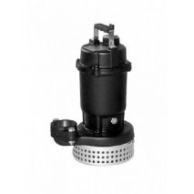 Máy bơm Ebara DS kết hợp khớp nối nhanh LL 250