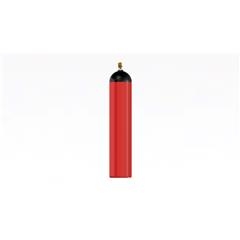 Bình chữa cháy khí nitrogen CYF-140-300-N2
