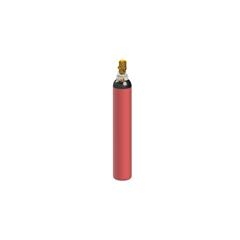 Bình chữa cháy khí nitrogen CYF-10-200-N2