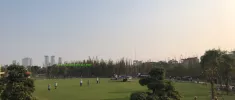 CHUYÊN GIA TRỒNG CỎ CẢNH