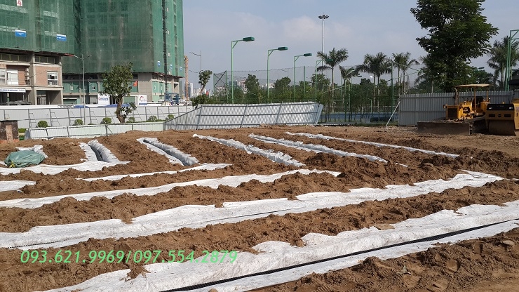 THI CÔNG HỆ THỐNG THOÁT NƯỚC PUTTING GREEN