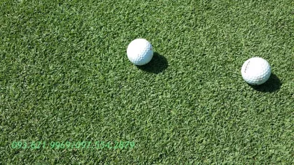 THẢM CỎ PASPALUM PUTTING GREEN