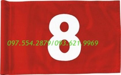 LÁ CỜ IN SỐ VÀ LOGO