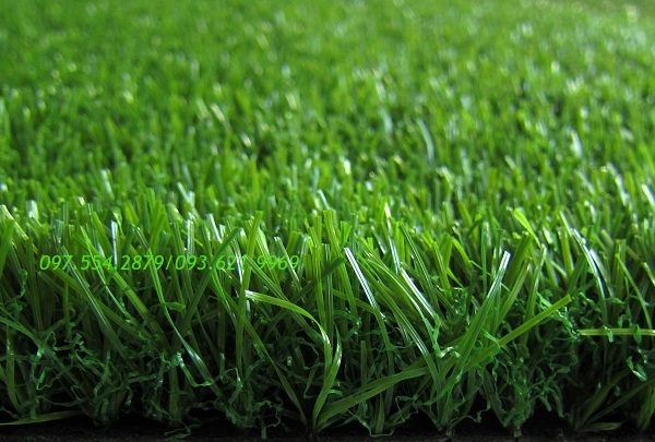 CỎ NHÂN TẠO SÂN VƯỜN 20MM