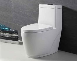 Bồn cầu liền khối men nano thông minh MOONOAH2