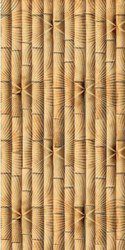 Gạch Đồng Tâm -d2560trevn002