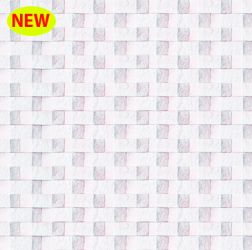 WHITE-vuong-2