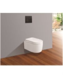 Bàn Cầu Âm Tường V55