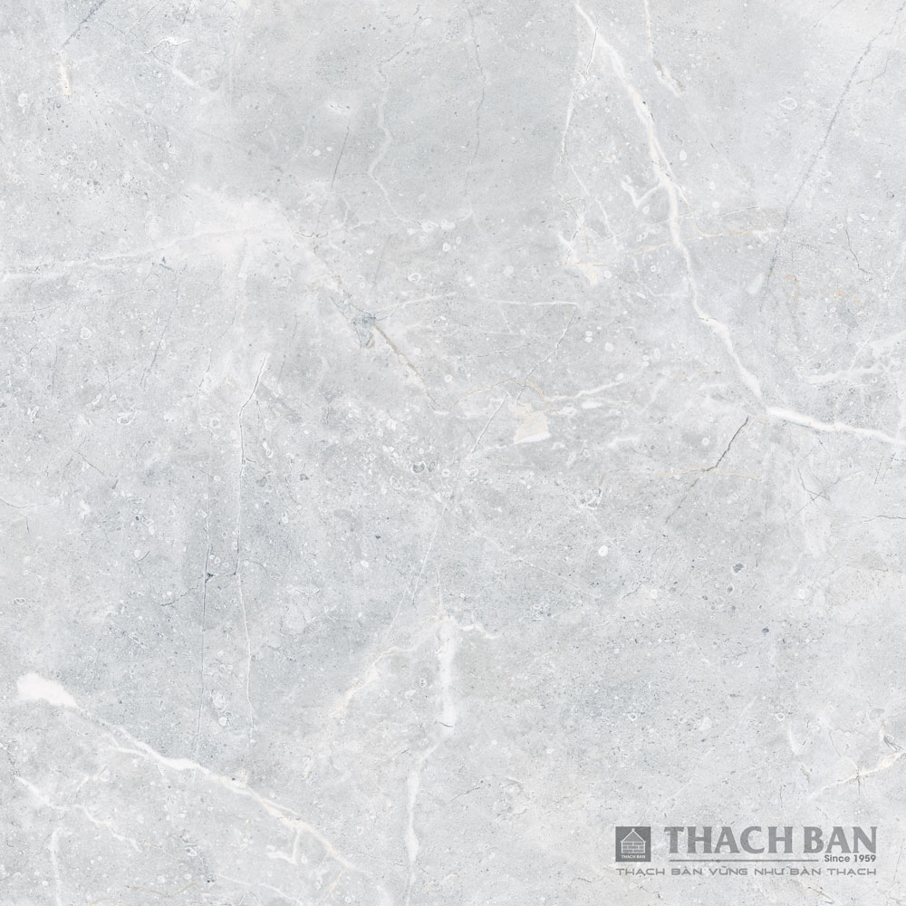 GẠCH GRANITE PHỦ MEN KHÔ - DIGIART MPF 021