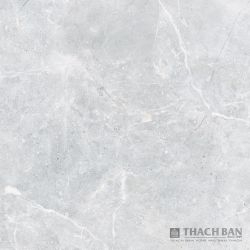 GẠCH GRANITE PHỦ MEN KHÔ - DIGIART MPF 021