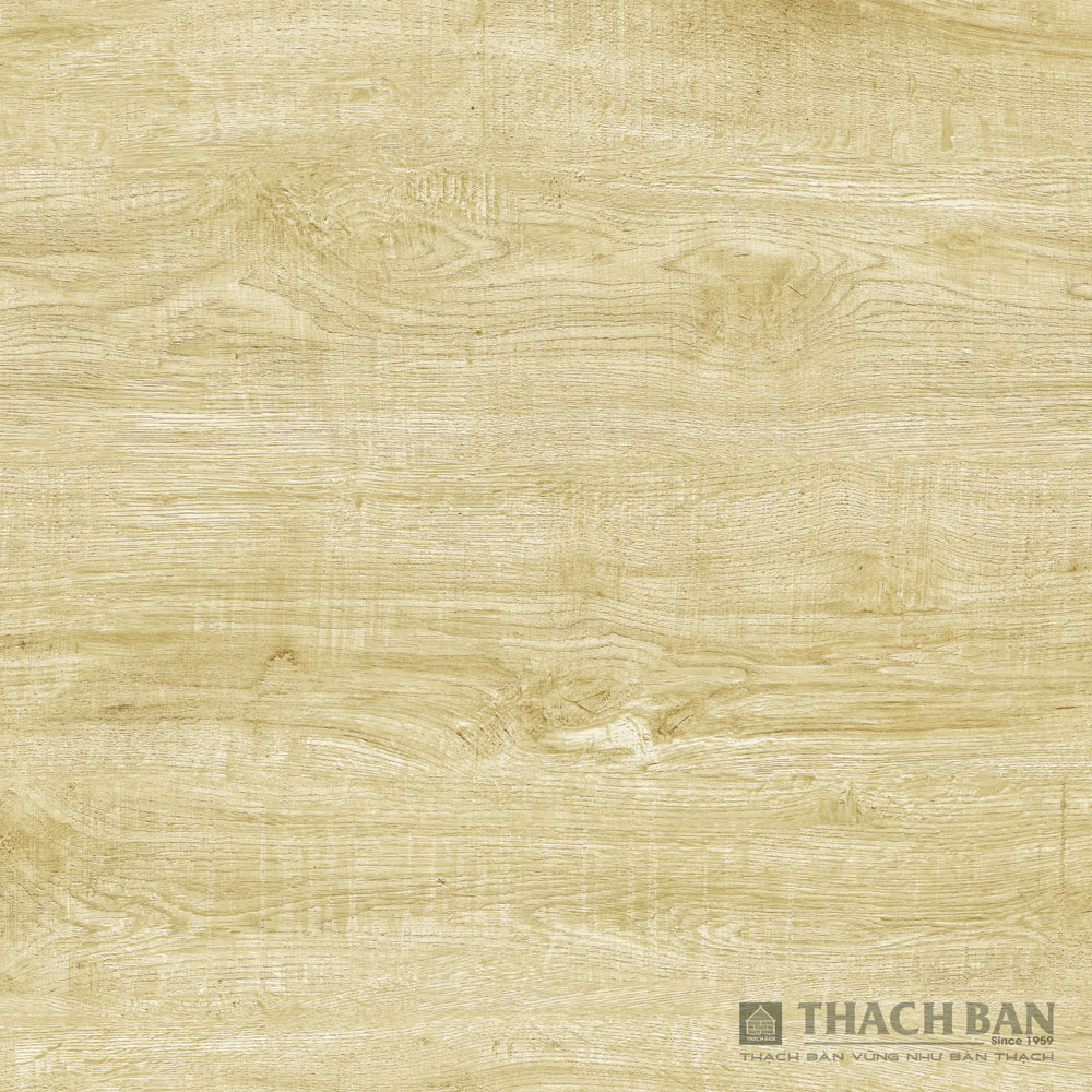 GẠCH GRANITE PHỦ MEN KHÔ - DIGIART MPF 038