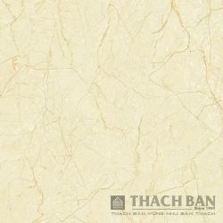 GẠCH GRANITE PHỦ MEN KHÔ - DIGIART MPF 853